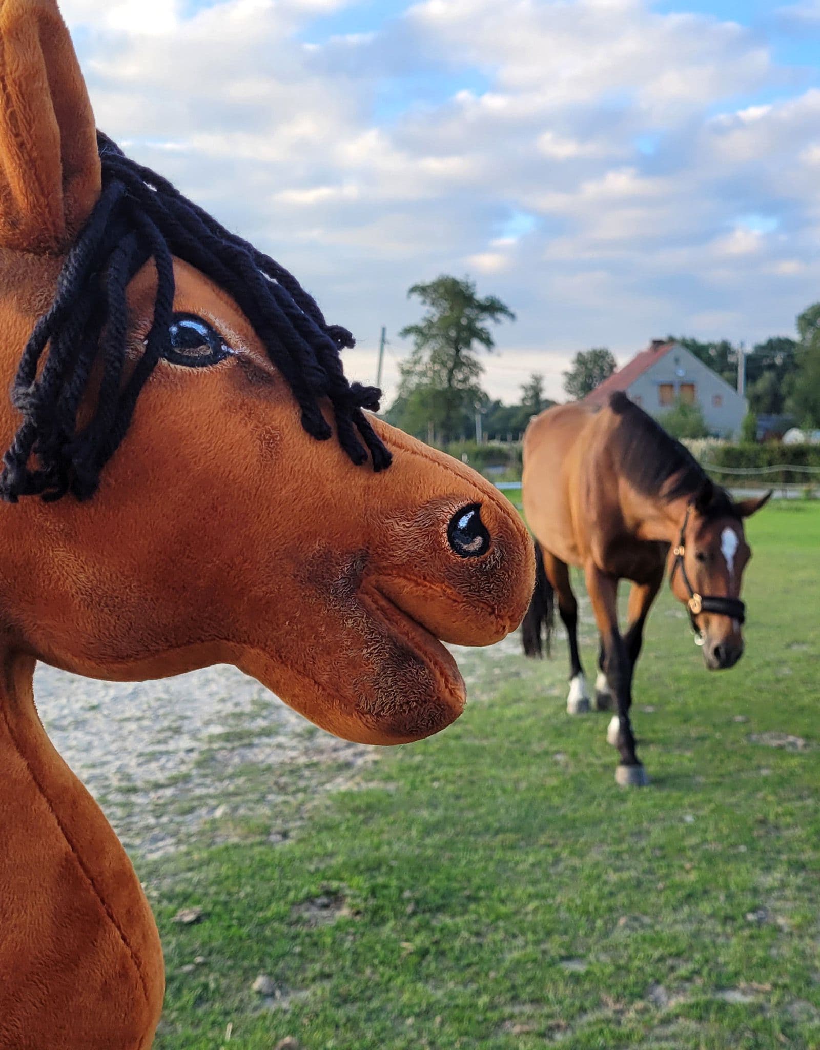 Hobby Horse Duży koń na kiju Premium -  jasnogniady A3