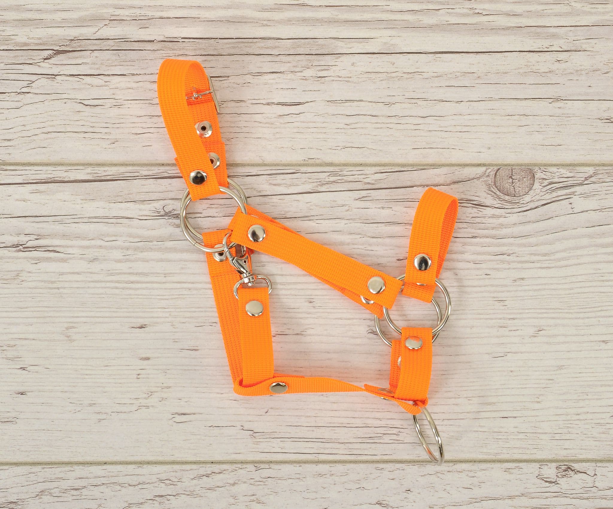 Kantar regulowany dla konia Hobby Horse A3 - neon orange