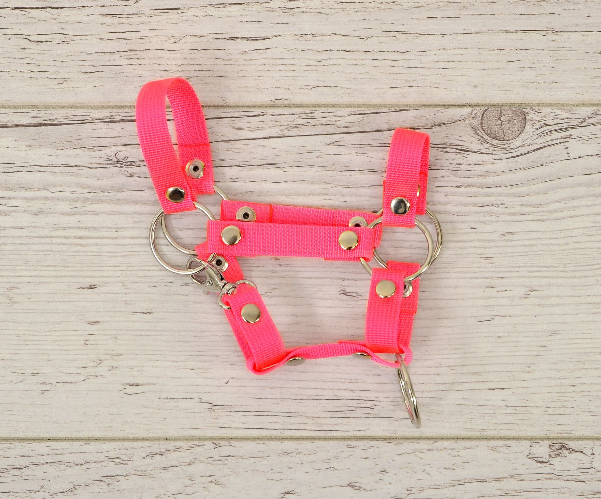 Kantar dla konia Hobby Horse A4 zapinany mały - neon pink