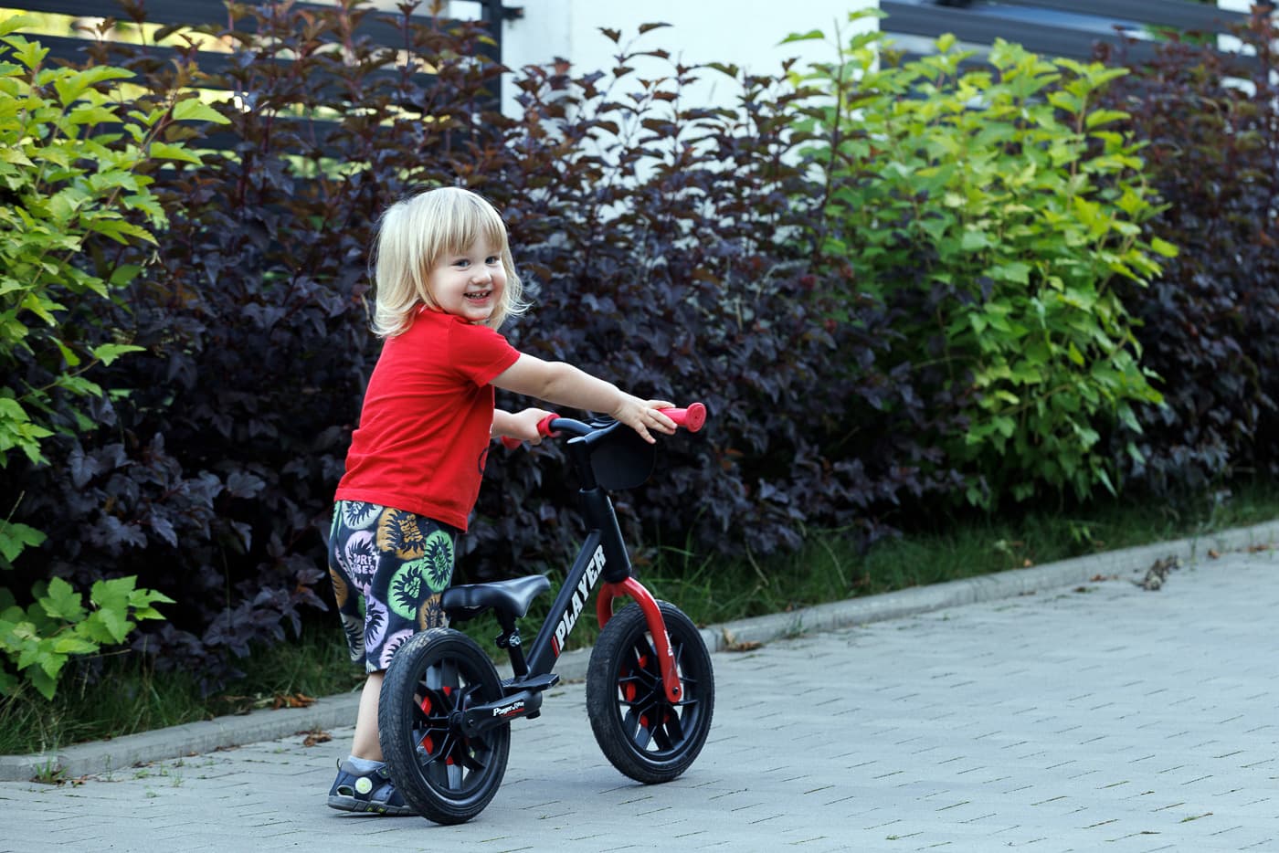 Qplay Rowerek Biegowy Player Red